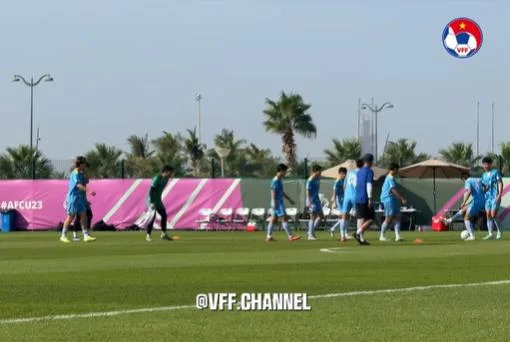 Biểu tượng đường dây nóng 7clubs